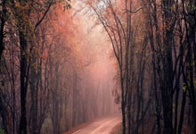 Ethereum Raises Gas Limit to 60M: Unlocking Fusaka's Full Potential