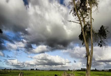 Ethereum Raises Gas Limit to 60M: Unlocking Fusaka's Full Potential