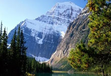 Maxi Doge: Unlocking the Presale Potential and Crypto's Visionary Path