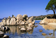 Pizza: What the Data Says About Its True Cost and Market Value