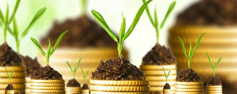 The Investment Lie: Why 'Safe Investments' is a Joke and What the Big Firms are Hiding